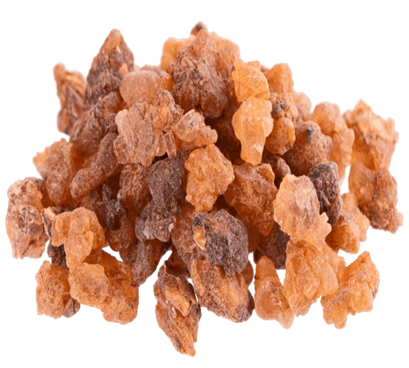 gold align supplement