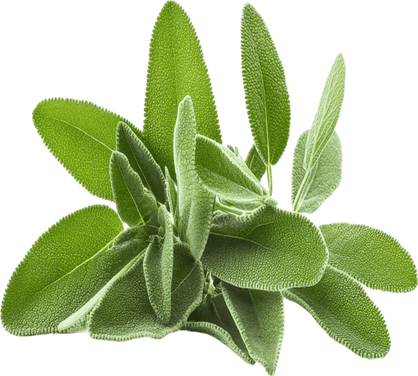 gold align supplement